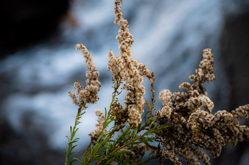 South Troy, NY - Oct 2025